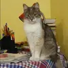 Отзыв от Анастасия Лебедева